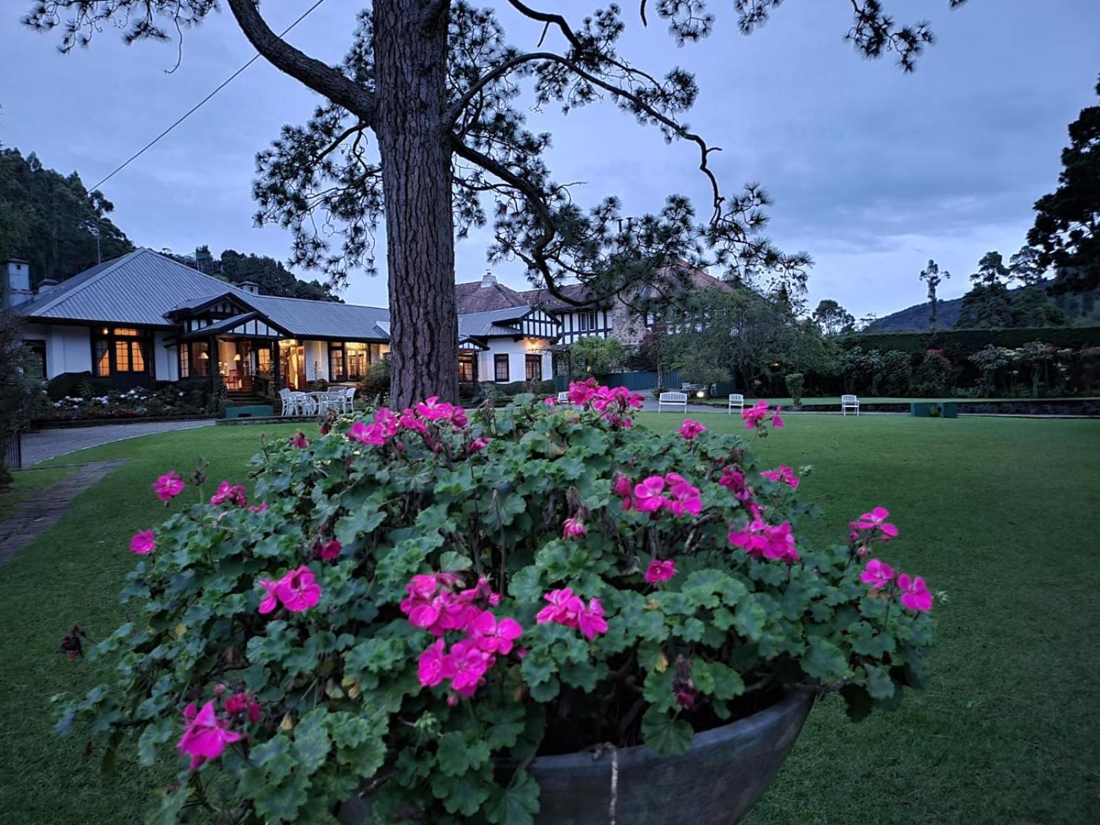 Hill Cottage Nuwara Eliya Esterno foto