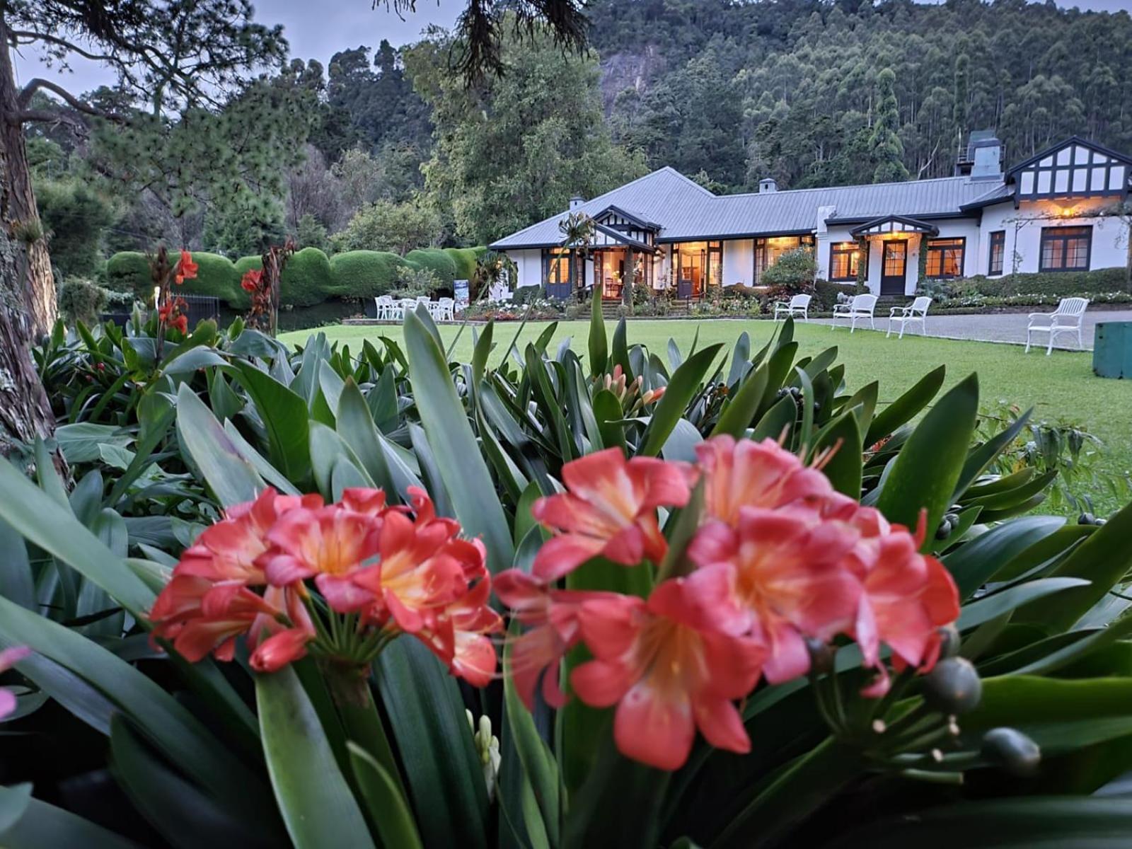 Hill Cottage Nuwara Eliya Esterno foto