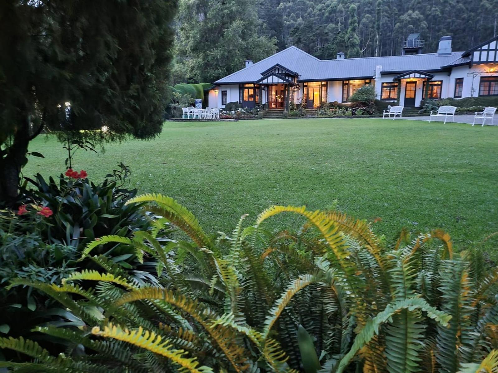 Hill Cottage Nuwara Eliya Esterno foto